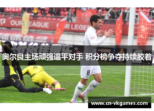 奥尔良主场顽强逼平对手 积分榜争夺持续胶着
