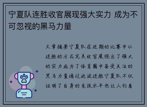 宁夏队连胜收官展现强大实力 成为不可忽视的黑马力量